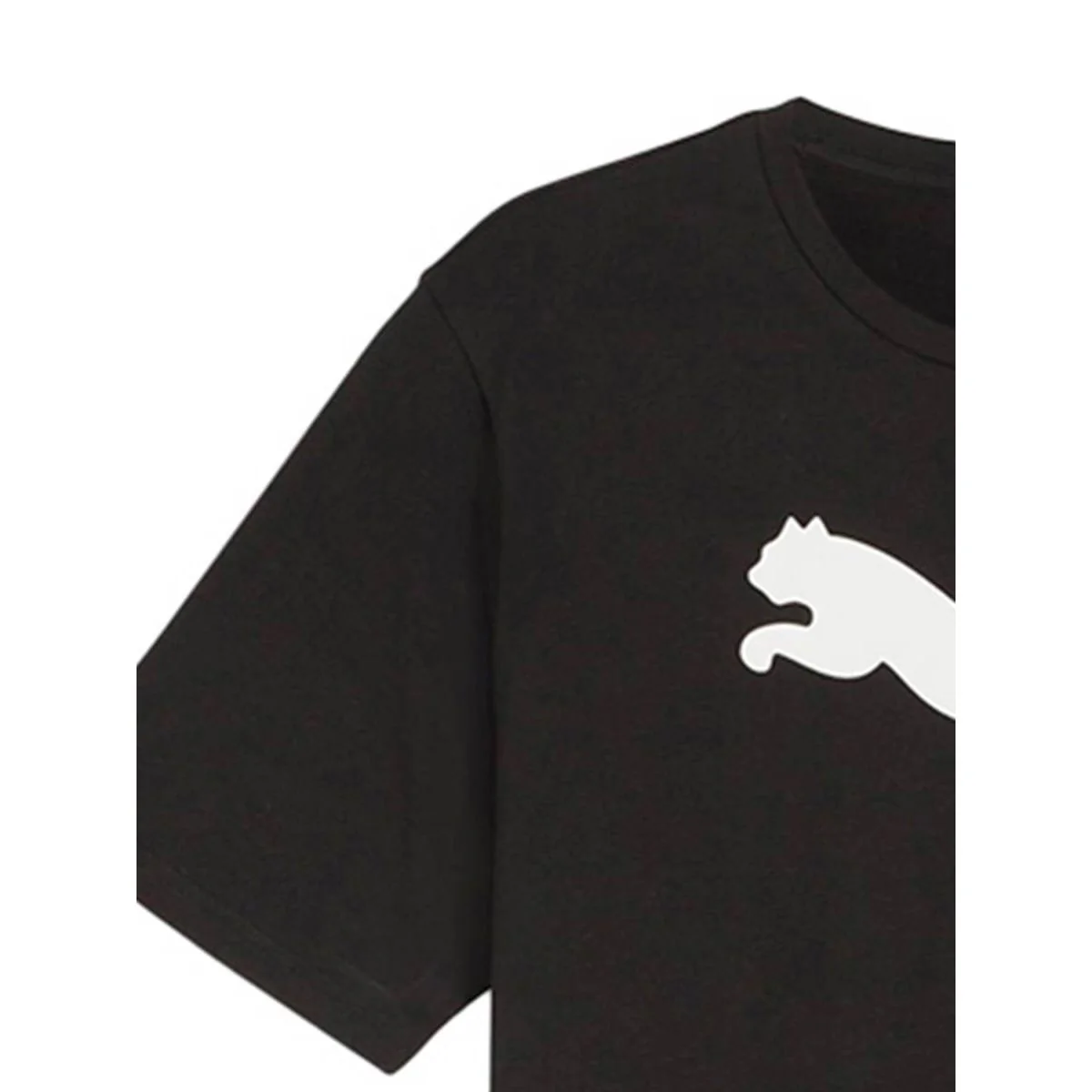 PUMA TeamRISE Logo Cotton Men's Football T-Shirt - Black - L (UK SIZE)