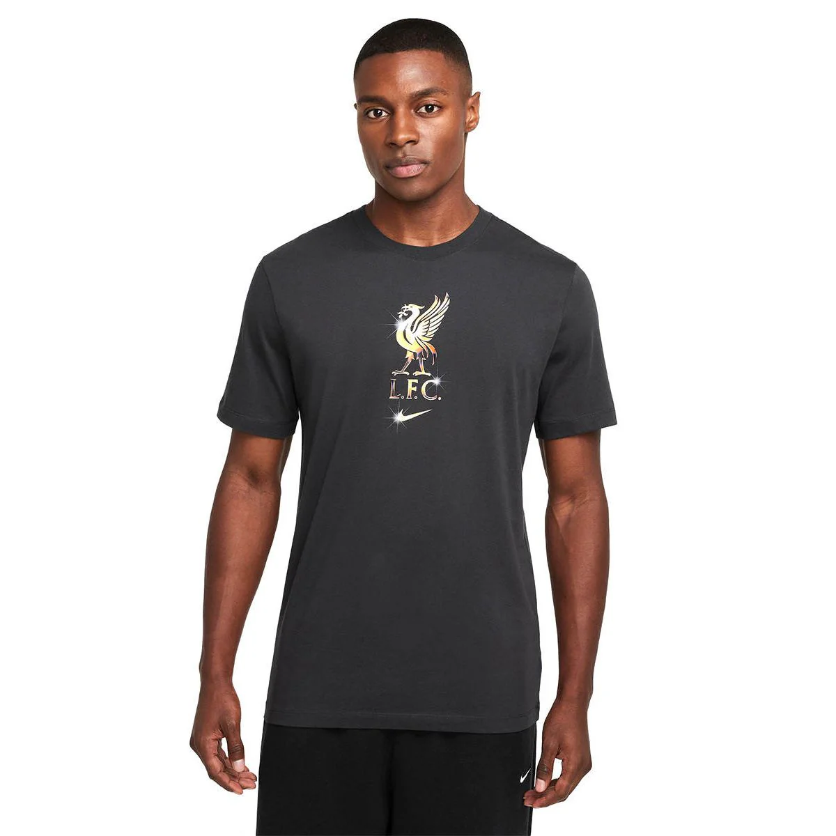 NIKE Liverpool FC Men's Football T-Shirt - Black - 2XL (US SIZE)