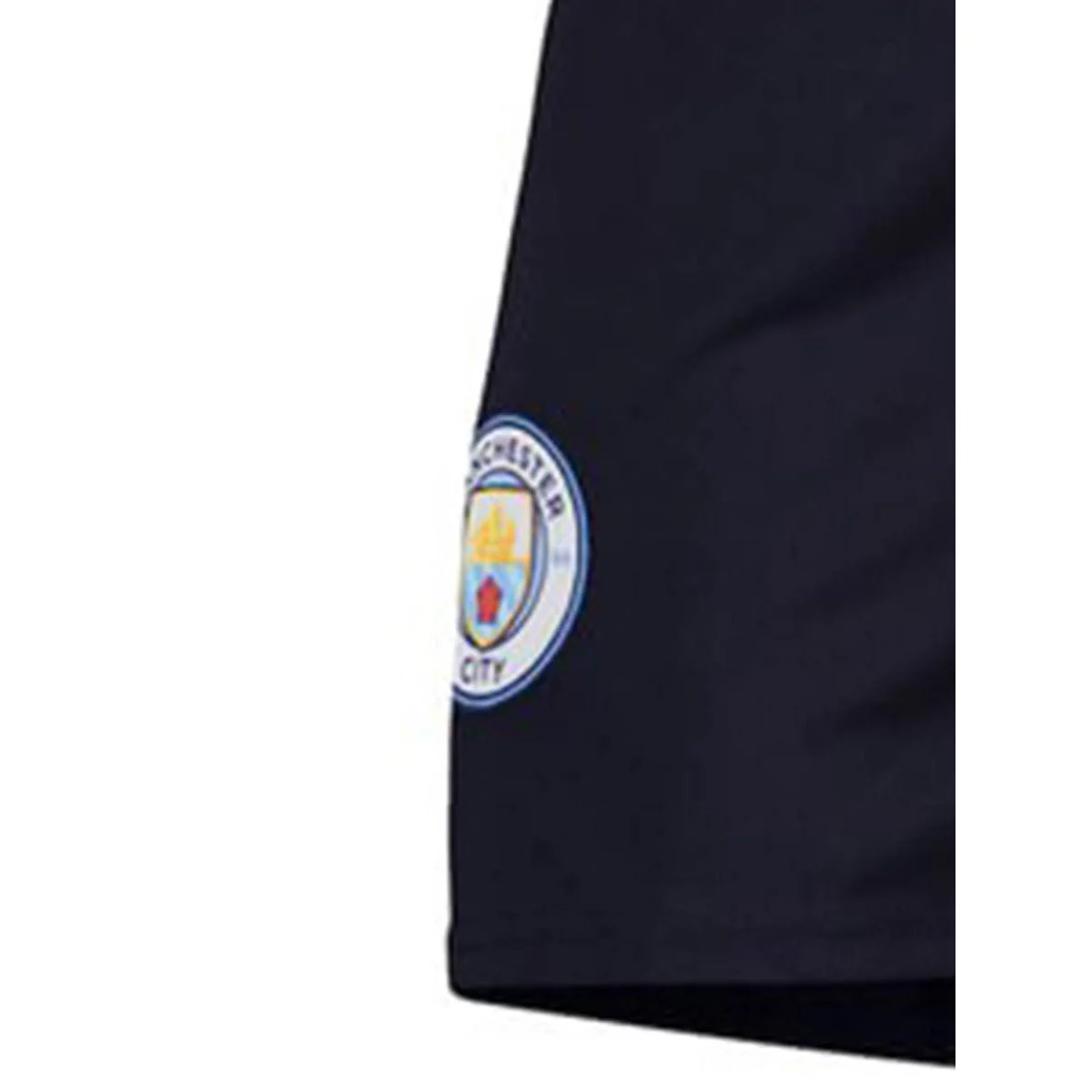 PUMA Men's Manchester City Replica 2024/25 Football Shorts - Blue - L (UK SIZE)