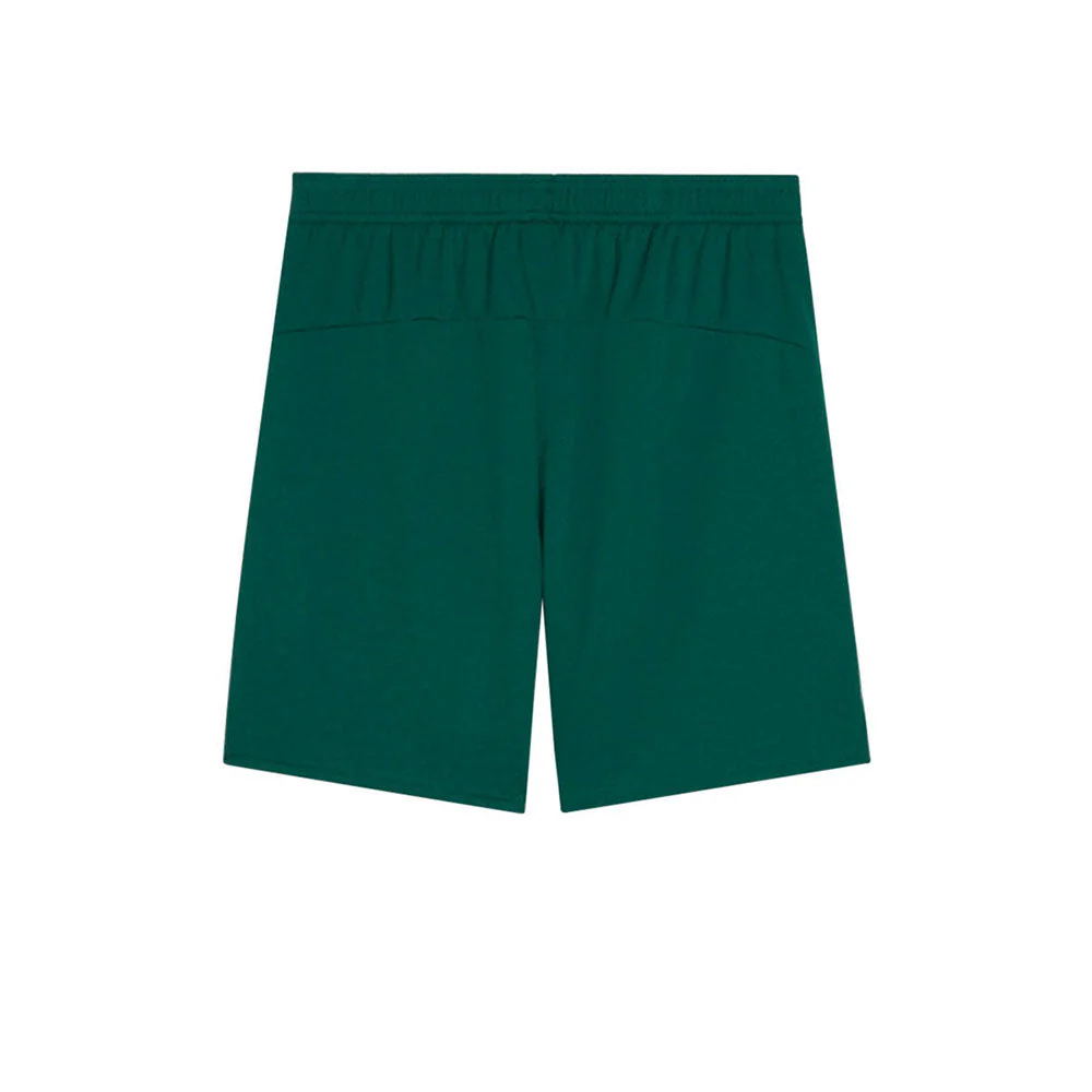 PUMA Men's Portugal Replica 2025 Football Shorts - Green - L (UK SIZE)