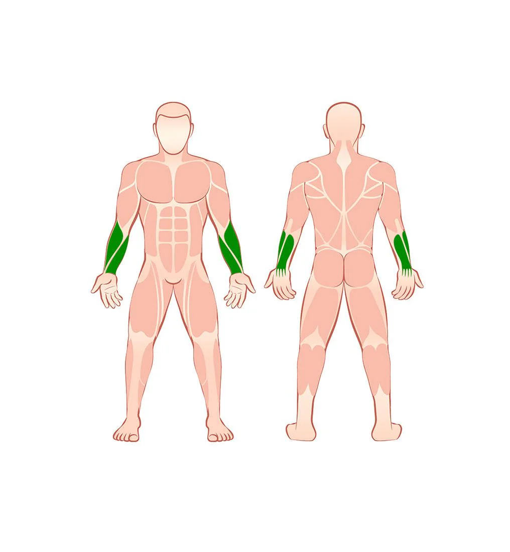 PROMARK 0548H Hand Stress Ball - Multi Color - ONE SIZE