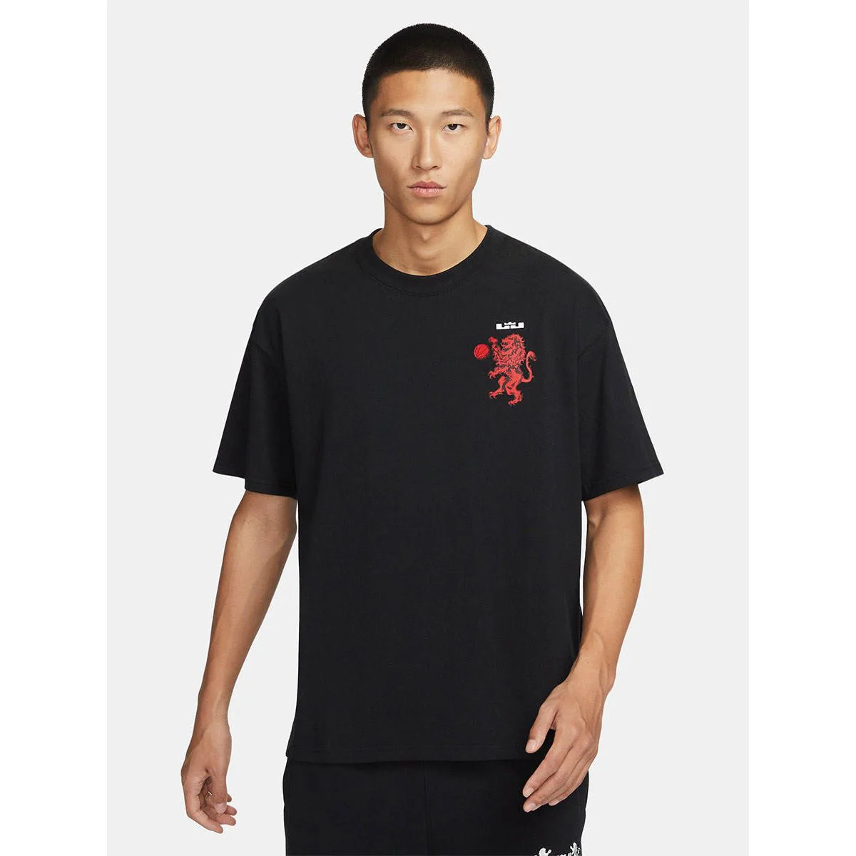 NIKE LeBron Men's Basketball T-Shirt - Black - 2XL (ASIAN SIZE)