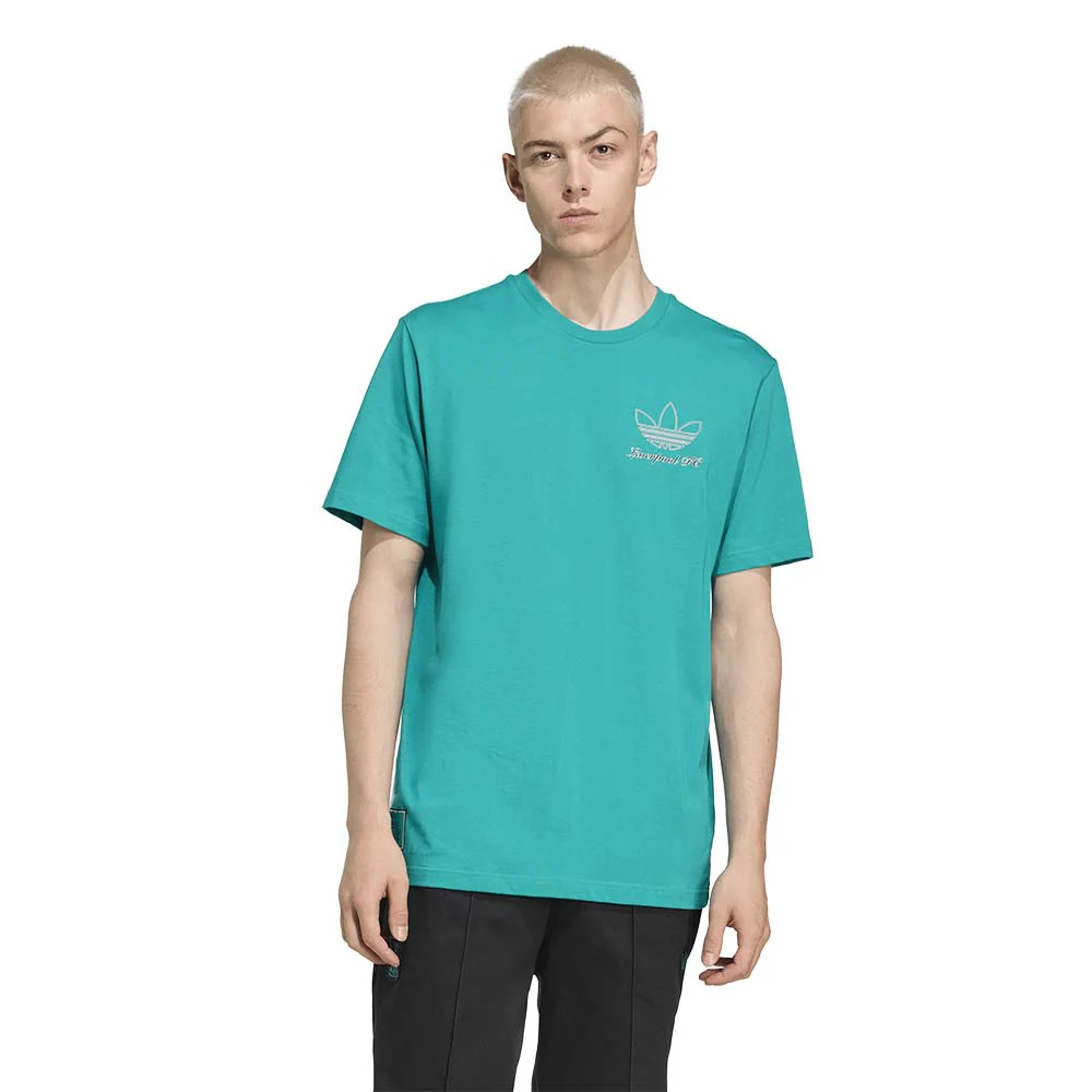 ADIDAS Liverpool FC Terrace Icons Graphic Men's Football T-shirt - Green - 2XL (UK SIZE)