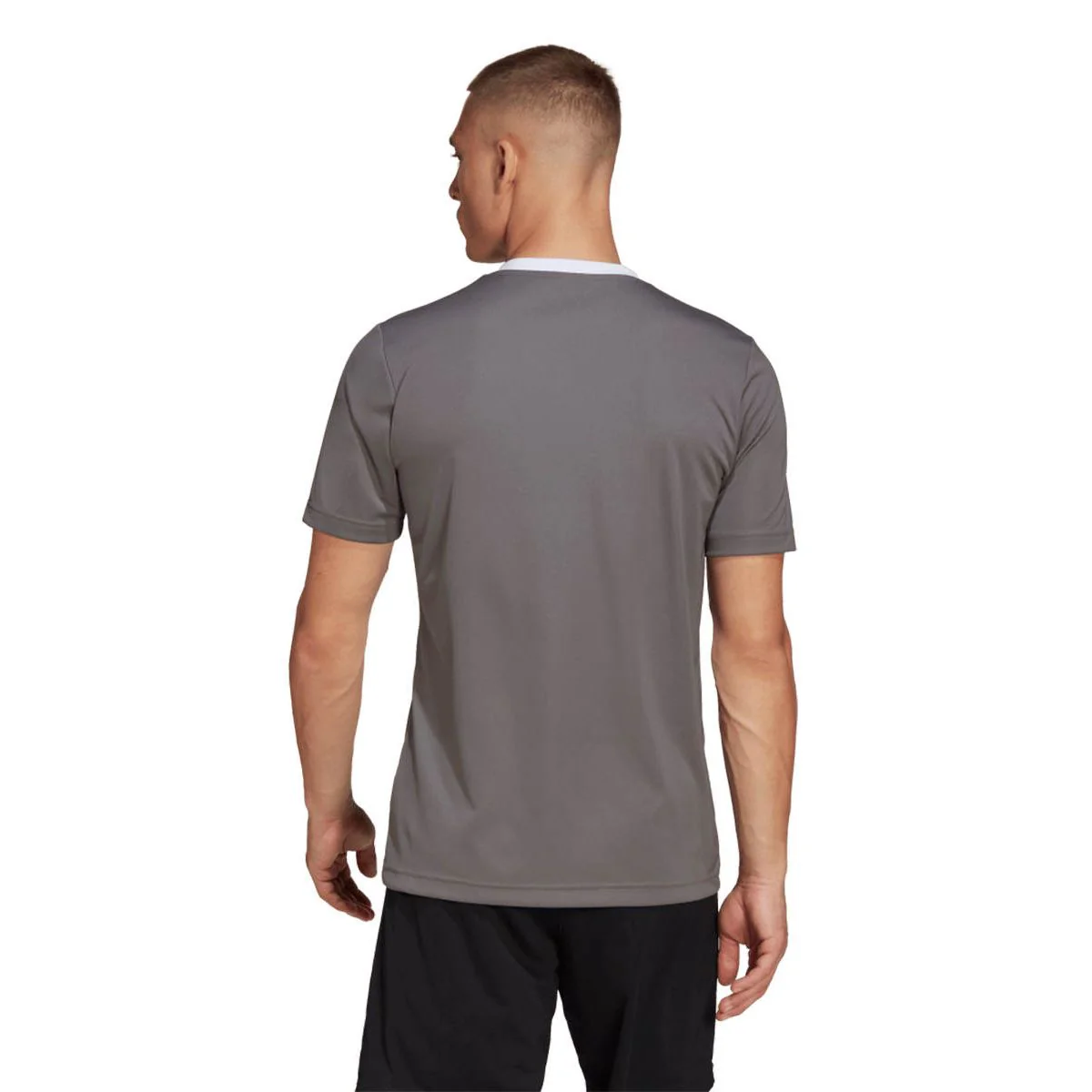 ADIDAS Entrada 22 Men's Football T-Shirt - Grey - 2XL (UK SIZE)