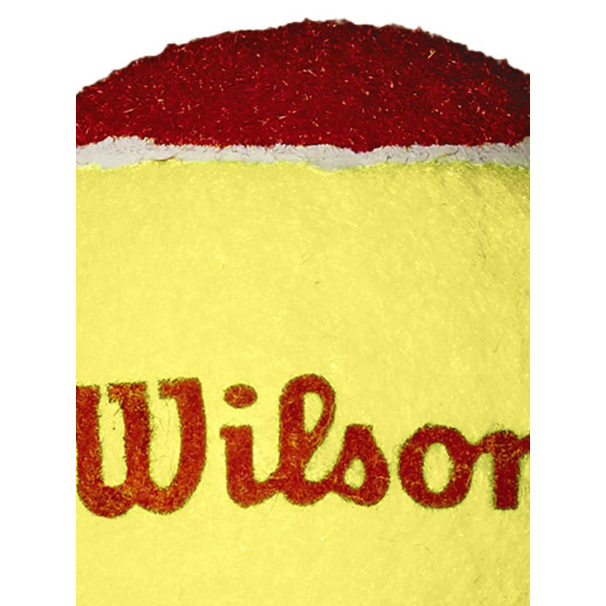 WILSON Starter Red Tennis Ball (12 Pack) - Red - ONE SIZE